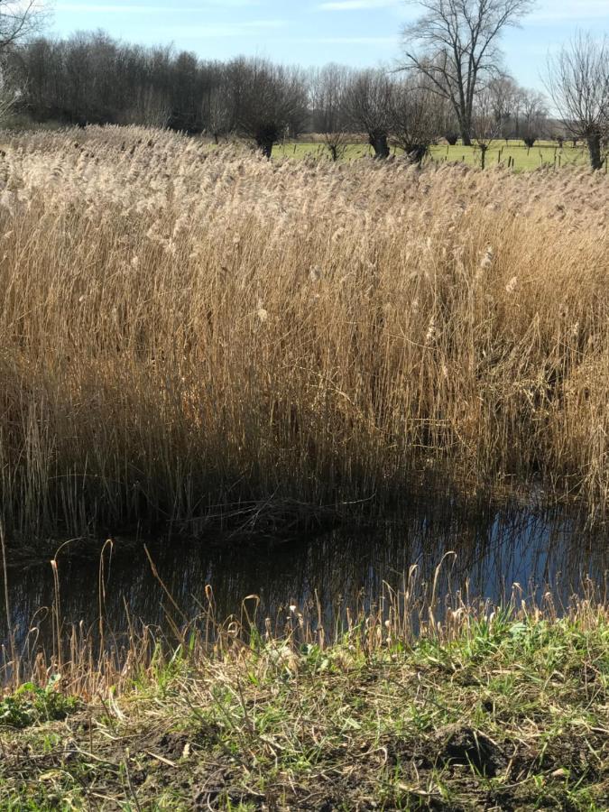 Familieverblijf De Groene Specht Sluis Exterior foto